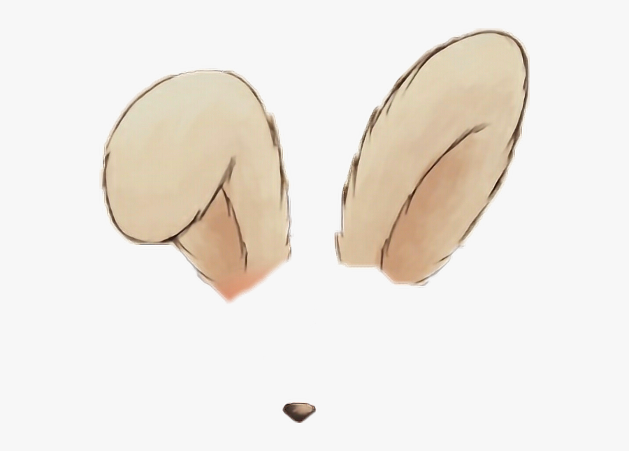 #sticker #ears #nose #bunny - Earrings, Transparent Clipart