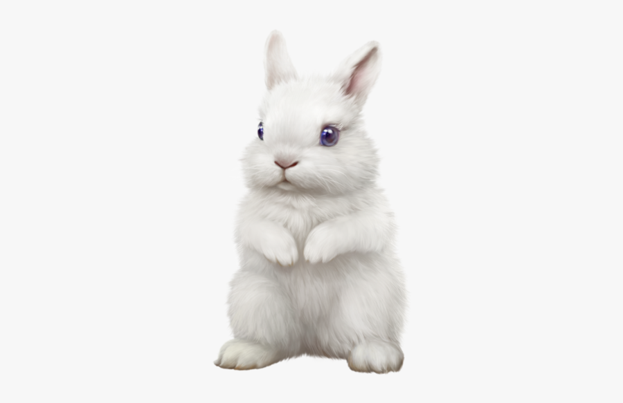 Tubes Lapin Hivers Png, Transparent Clipart