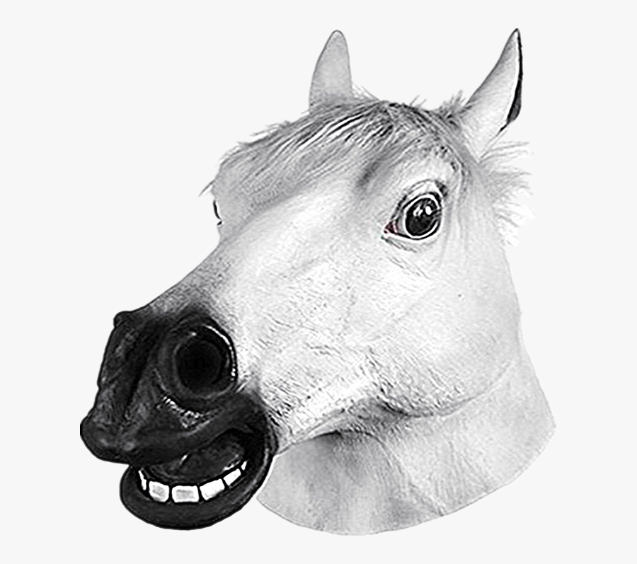 Transparent Horse Head Mask Png - White Horse Head Png, Transparent Clipart