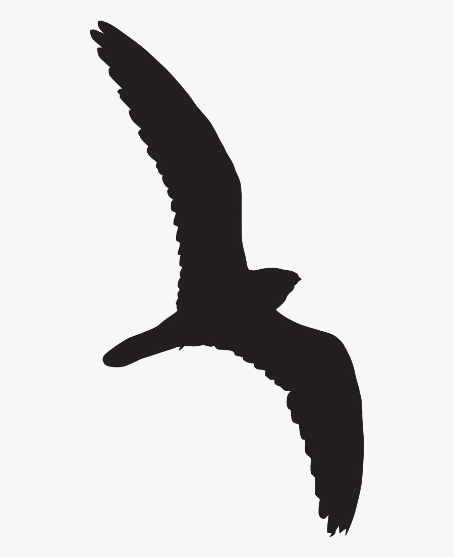 Eastern Whip Poor Will Overview, All About Birds, Cornell - Whippoorwill Silhouette, Transparent Clipart