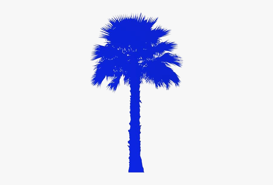 Trees Png Transparent Images - Real Trees Elevation Png, Transparent Clipart