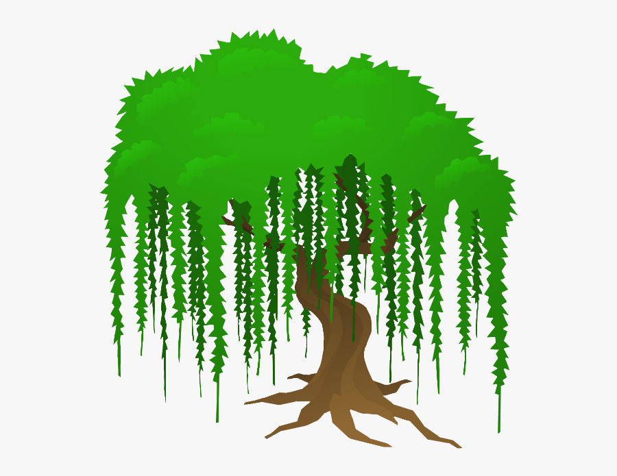 Weeping Willow Tree Clipart, Transparent Clipart
