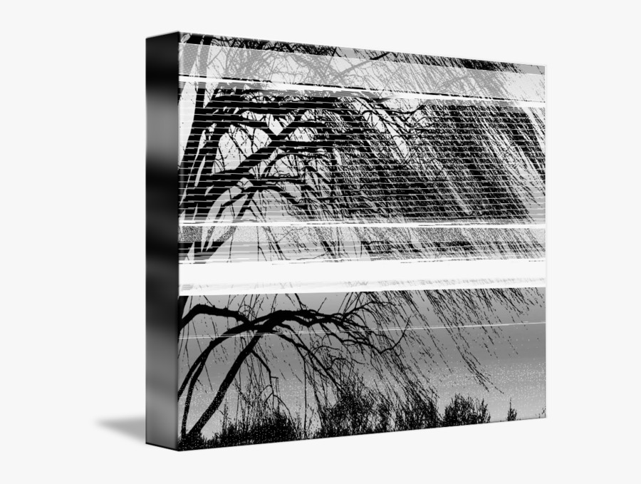 Black And White Willow Tree - Willow Tree In The Wind, Transparent Clipart