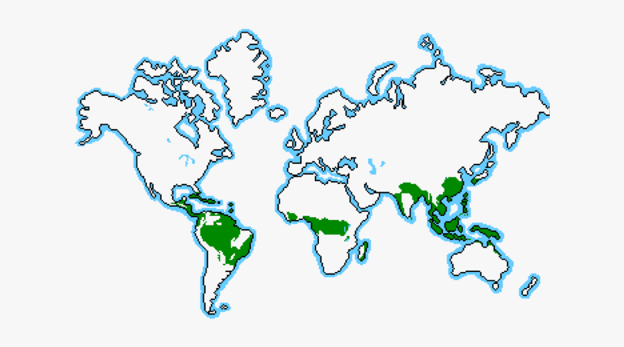 Tropical Rain Forest Screen - Tropical Rainforest Locations, Transparent Clipart