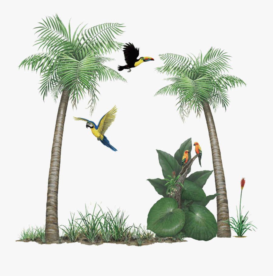 Tropical Rain Png - الطول طول نخلة والعقل عقل سخلة, Transparent Clipart