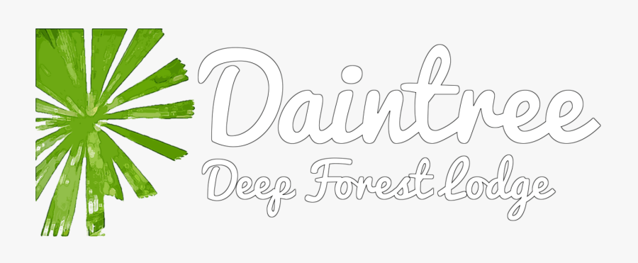 Calligraphy, Transparent Clipart