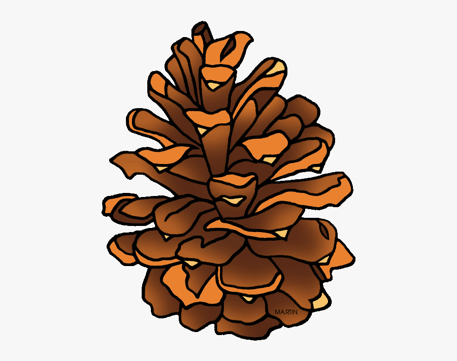 Clipart Pine Cone - Pine Cone Cartoon, Transparent Clipart