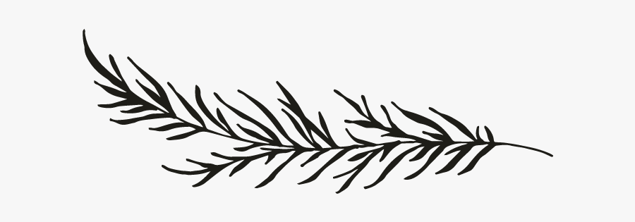 Pinecone Clipart Black And White, Transparent Clipart