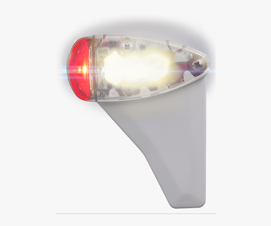 Latest Stc News - Eel, Transparent Clipart