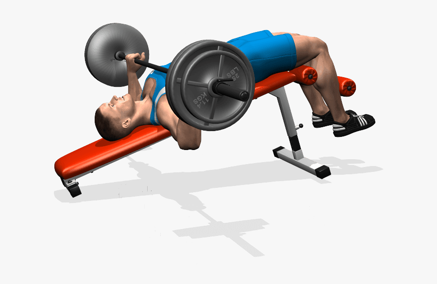 Exercice For Lower Chest, Transparent Clipart