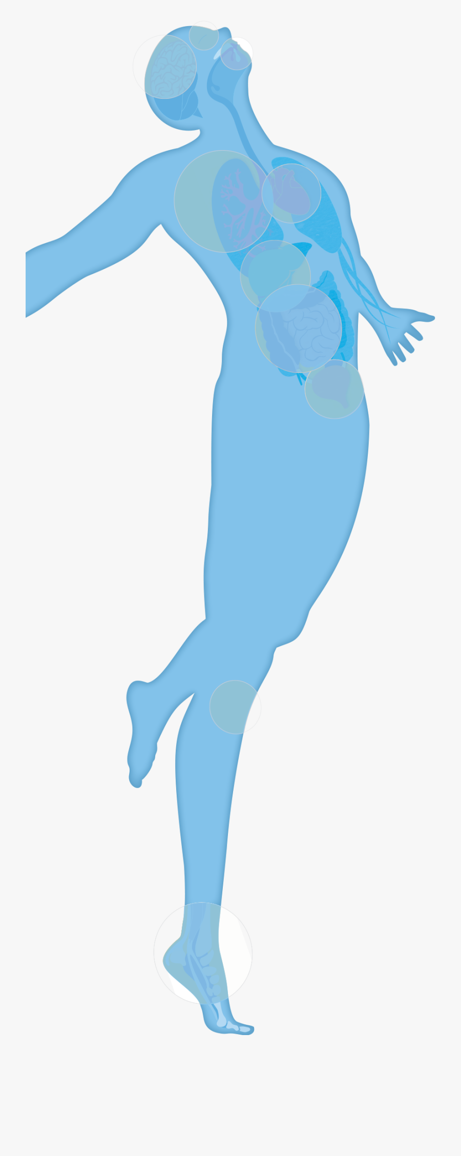 Your Amazing Body Clipart , Png Download - Illustration, Transparent Clipart