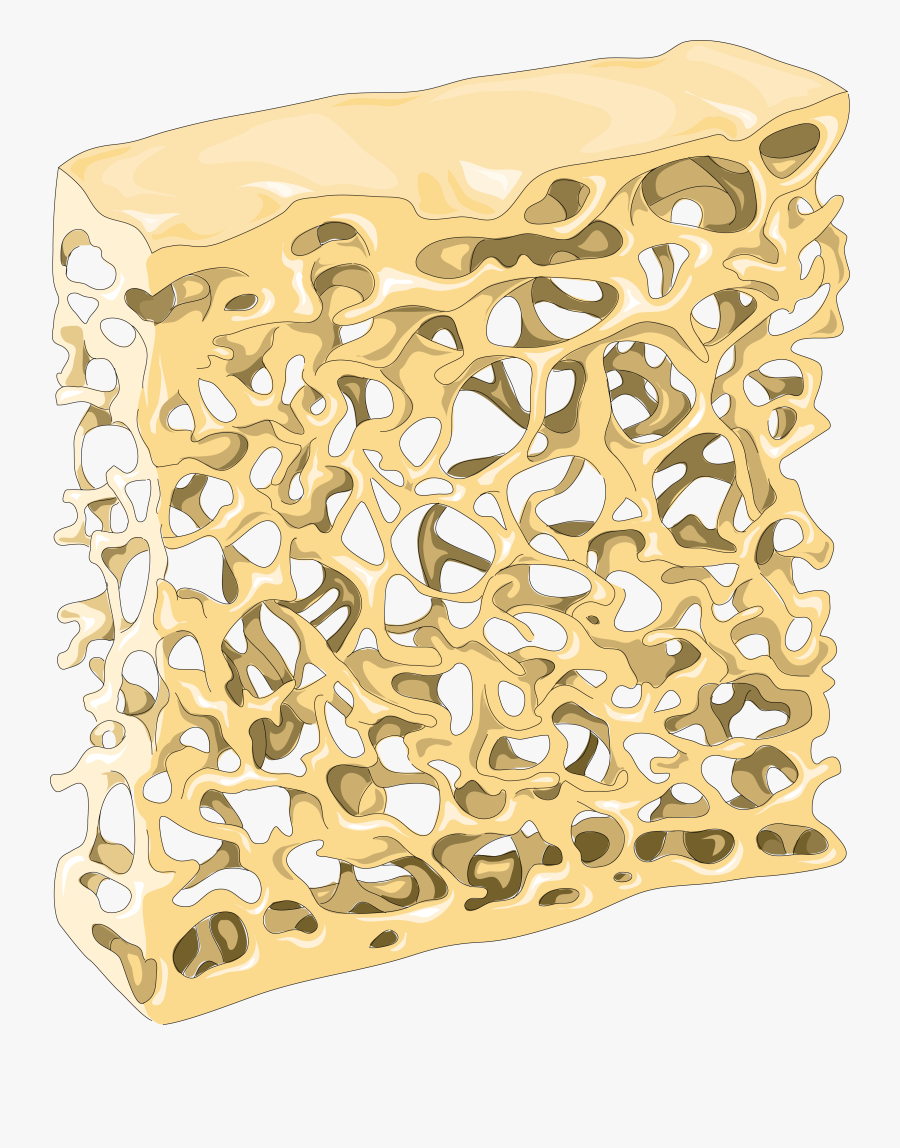 Skeleton Clipart Smart - Pattern, Transparent Clipart