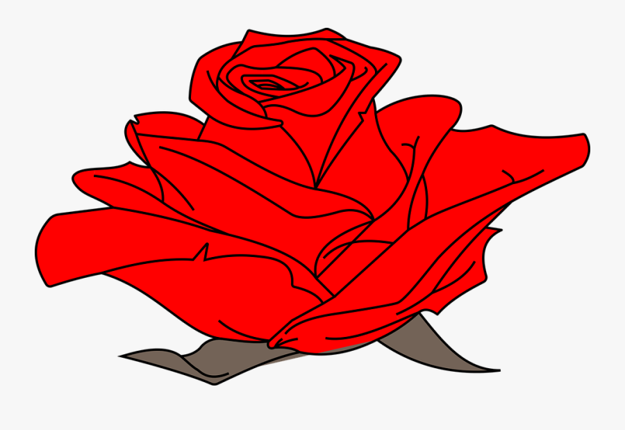 Floral Flower Nature - Drawing, Transparent Clipart