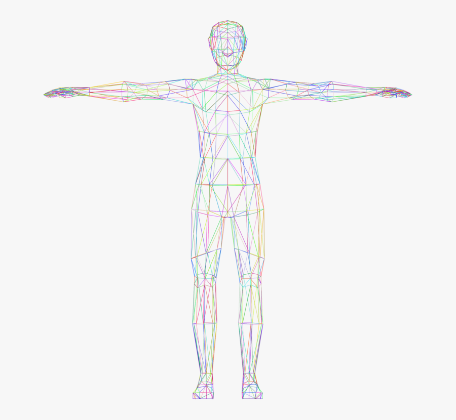 Shoulder,standing,human Body - Human Body No Background, Transparent Clipart