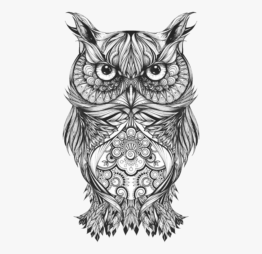 Body Owl Sketch Art Tattoo Drawing Clipart - Owl Drawings Black And White, Transparent Clipart