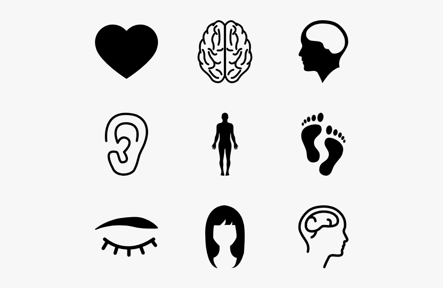 Free Png Of Parts - Body Parts Png , Free Transparent Clipart - ClipartKey