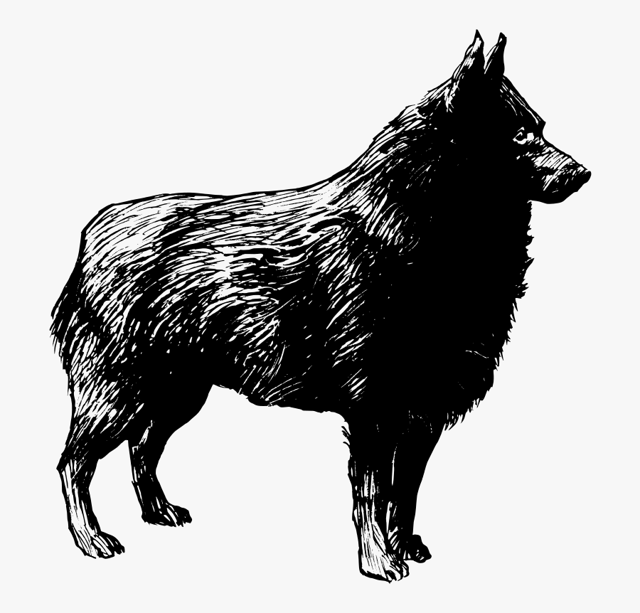 Fraction Pie Divided Into - Schipperke Png, Transparent Clipart