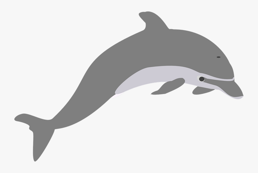 Transparent Dolphin Tail Clipart - Transparent Dolphin Clip Art, Transparent Clipart