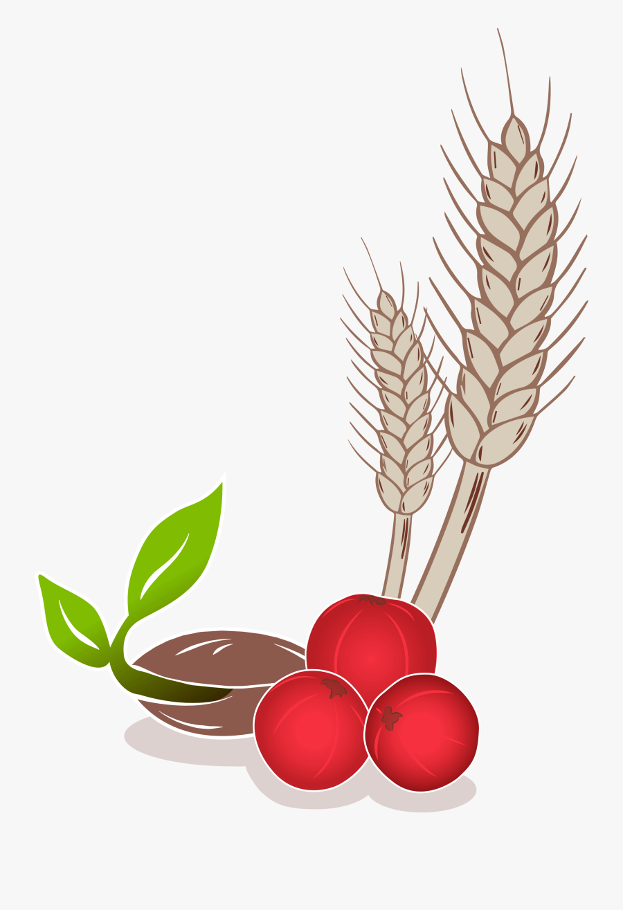 Illustration, Transparent Clipart