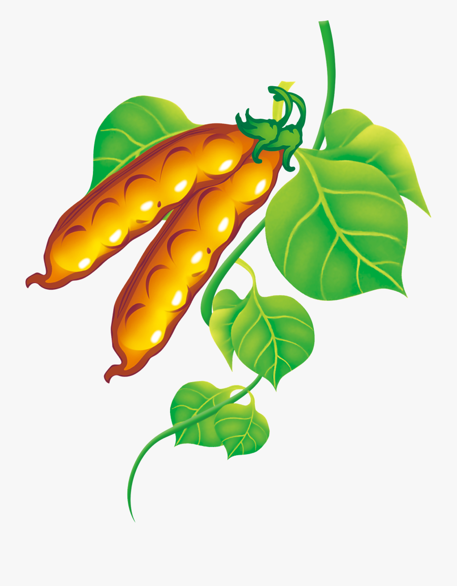 Pea Clipart Green Fruit Vegetable - Pea, Transparent Clipart