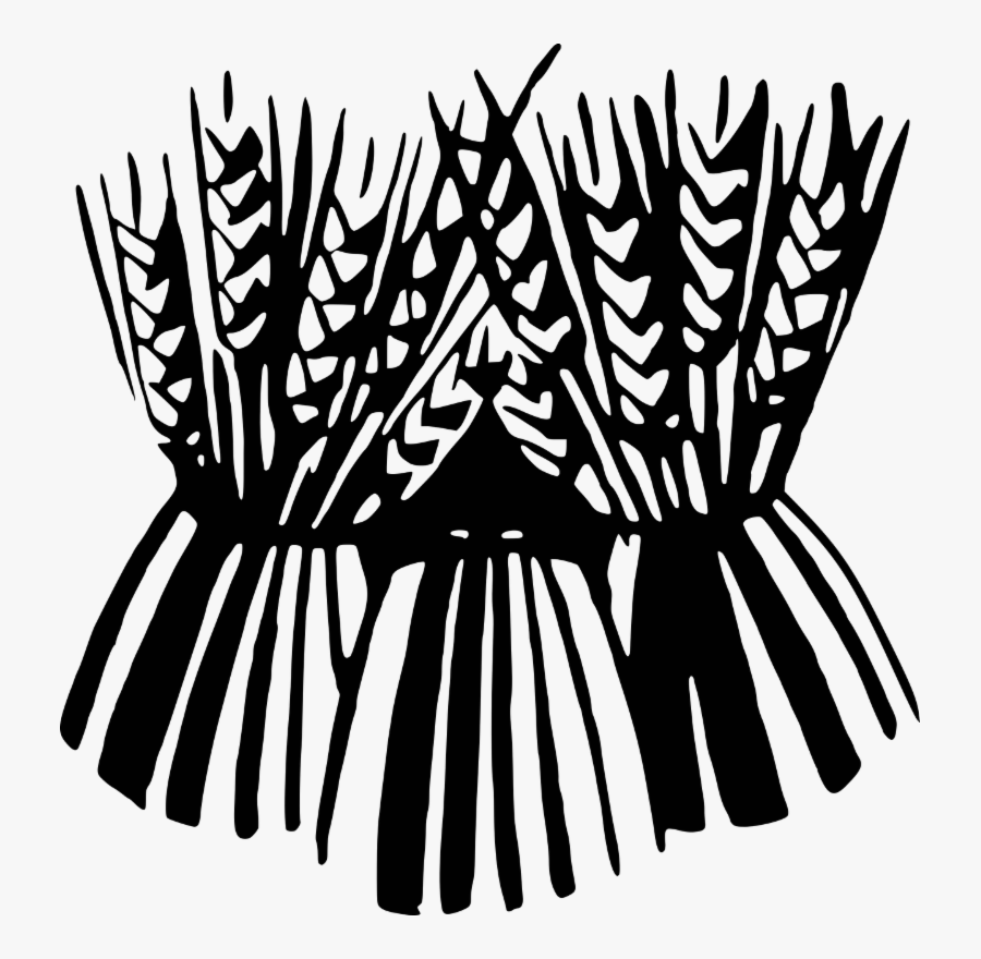 Flower,monochrome Photography,tree - Harvest Moon September 2017, Transparent Clipart