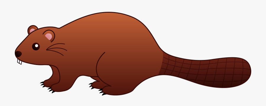 Cute Beaver Clipart - Clip Art Beaver, Transparent Clipart