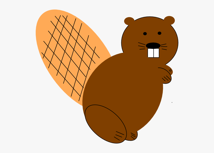 Beaver Clip Art , Free Transparent Clipart ClipartKey