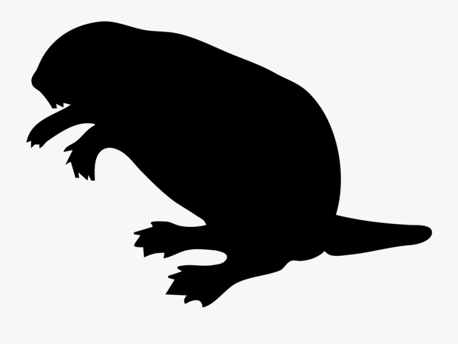 Beaver Contour - Beaver Clip Art, Transparent Clipart