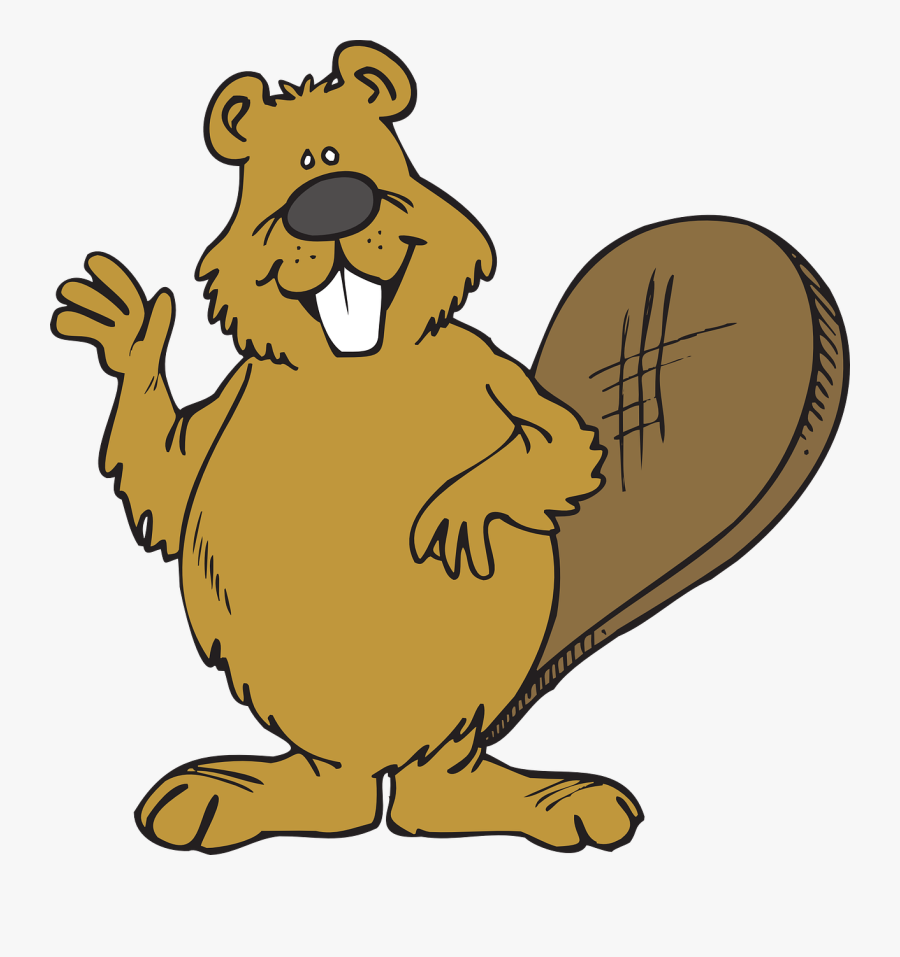 Clipart Beaver, Transparent Clipart