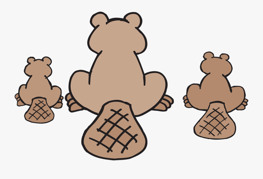 Beaver Tail Clipart - Beaver Tail Animal Cartoon, Transparent Clipart