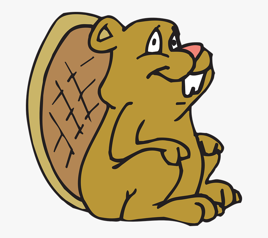 Beaver Coloring Page, Transparent Clipart