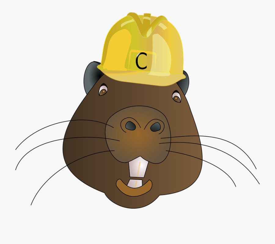 Beaver Clipart - Beaver Wearing A Hat, Transparent Clipart