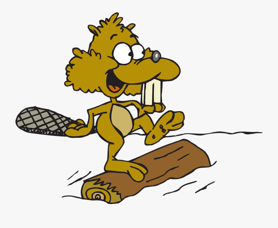 Water, Beaver, Log, Animal, Movement, Rolling, Roll - Cartoon Beaver On Log, Transparent Clipart