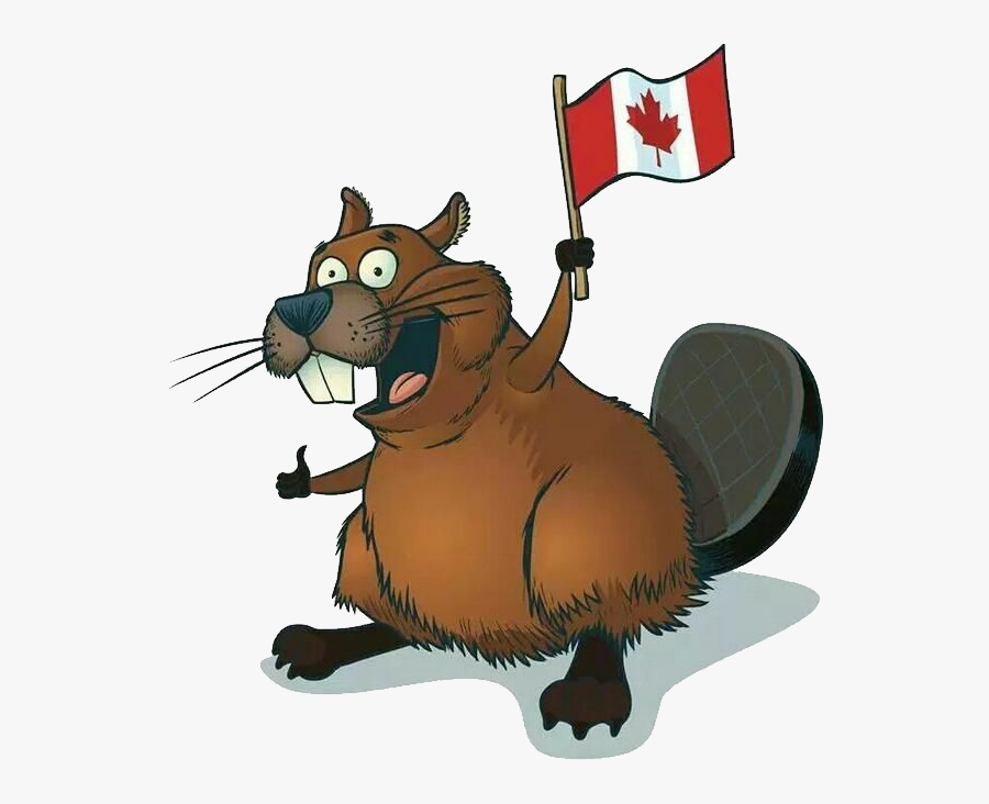 Canada Bæver, Transparent Clipart