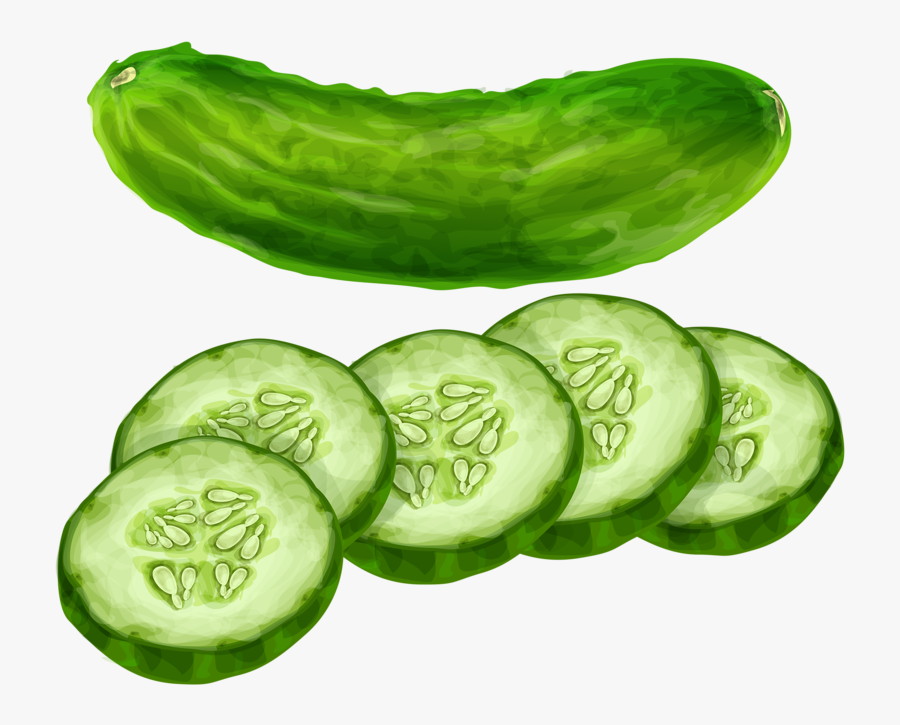 Vegetable Clipart Cucumber Pencil And In Color Vegetable - Cucumber Clipart, Transparent Clipart