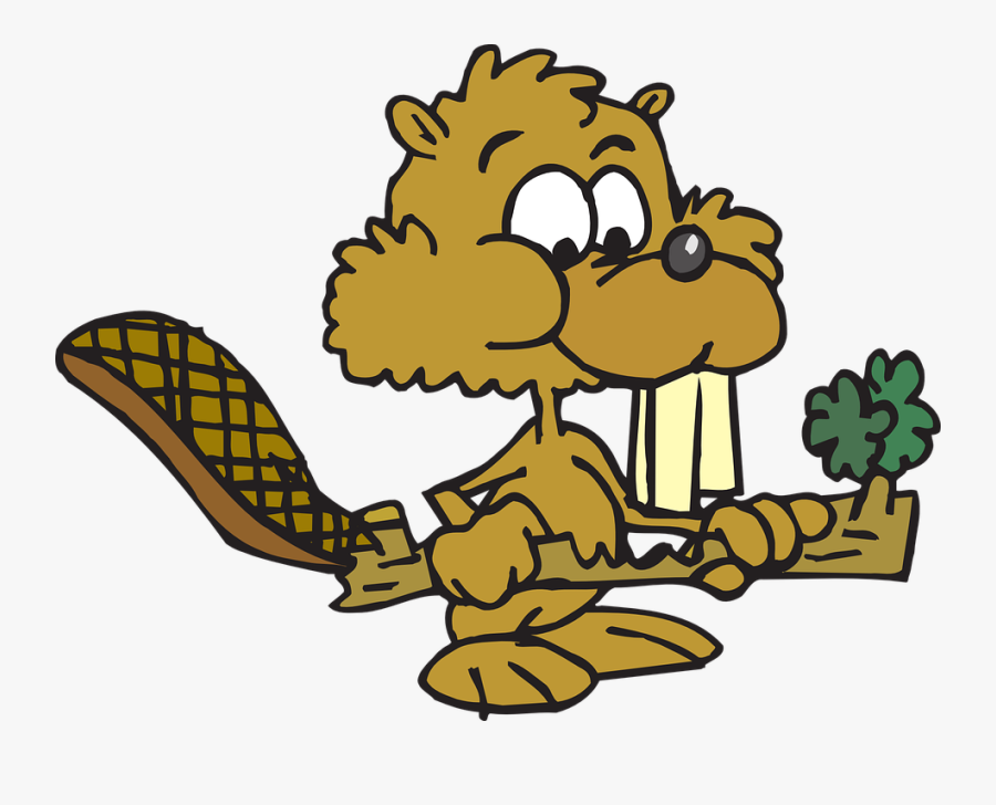 Food, Beaver, Eating, Animal, Twig - Beaver Eating Wood Cartoon, Transparent Clipart