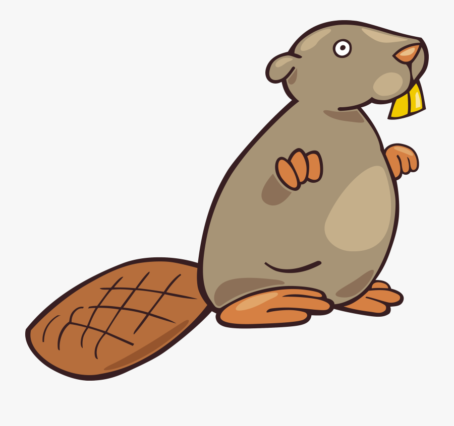 Beaver Png - Bóbr Rysunek, Transparent Clipart