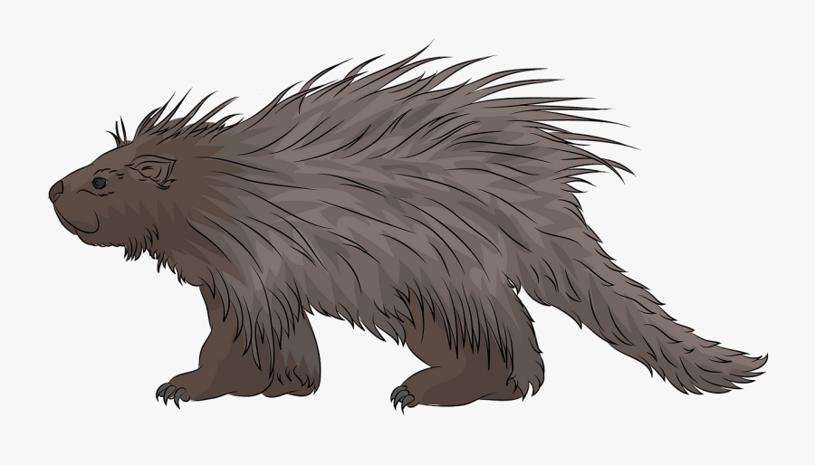 New World Porcupine, Transparent Clipart