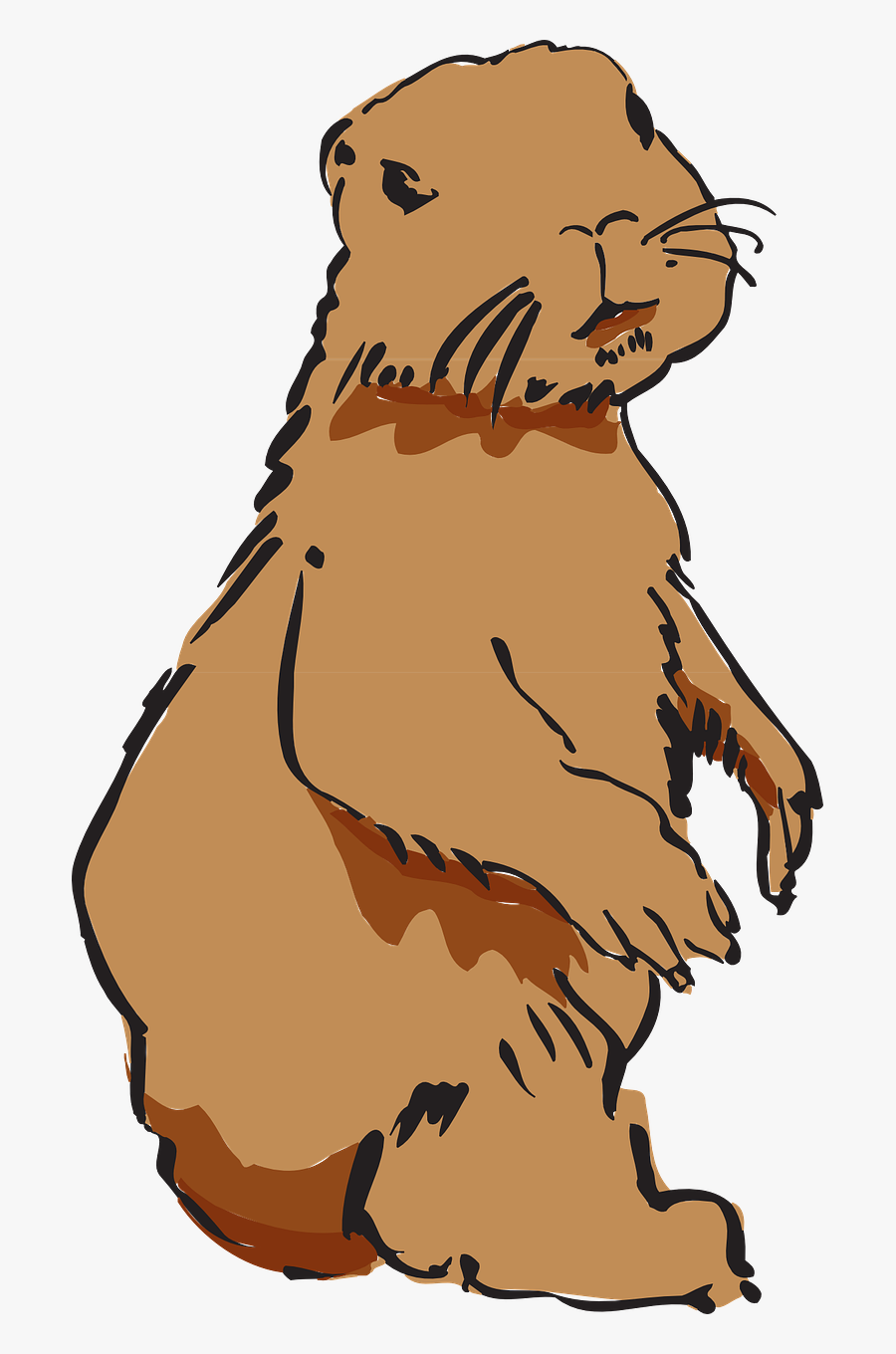 Beaver Beaver Fur Beaver Pelt Free Picture - Beaver Working Clipart Png, Transparent Clipart