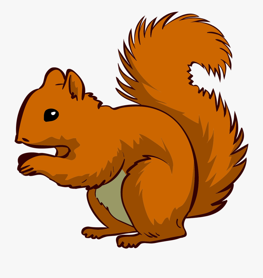 Kisspng Squirrel Clip Art 5ab4328ccf2b37 Clipart Thank - Transparent Background Squirrel Clipart, Transparent Clipart