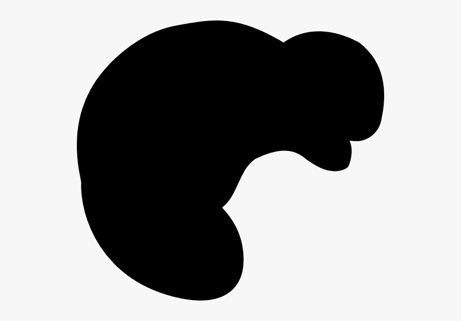 Beaver, Transparent Clipart