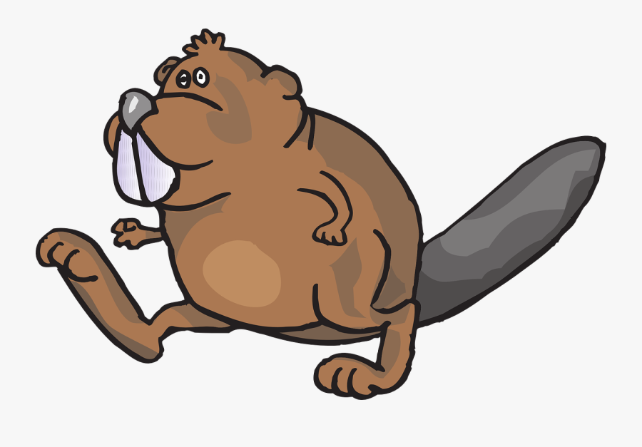 Picture Freeuse Habitat Steemit Beaverpng - Walking Beaver, Transparent Clipart