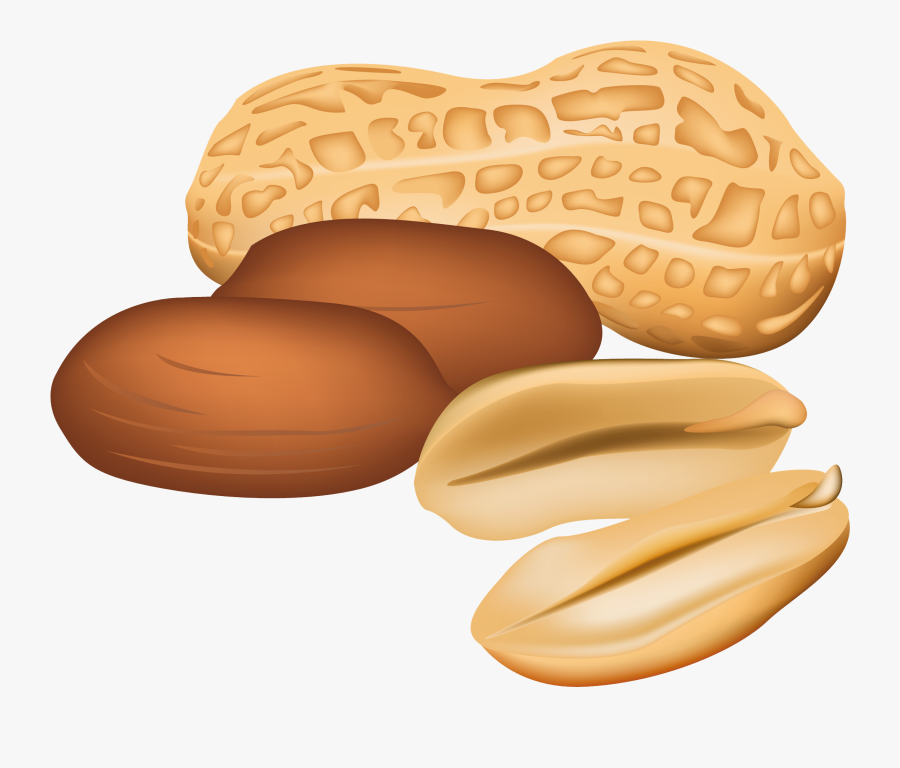Peanuts Png Clipart Picture - Peanut Vector, Transparent Clipart
