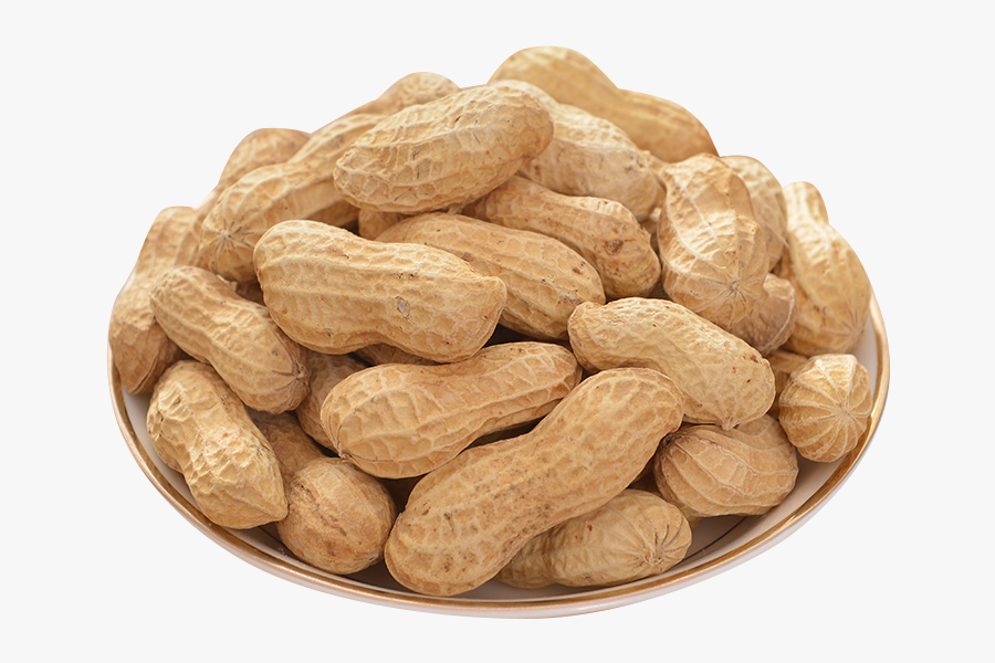 Png Images Free Download - Peanut, Transparent Clipart