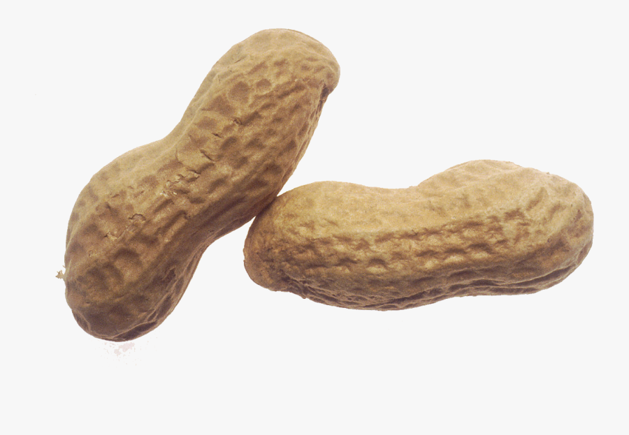Peanut Png - Clipart Transparent Background Peanut, Transparent Clipart