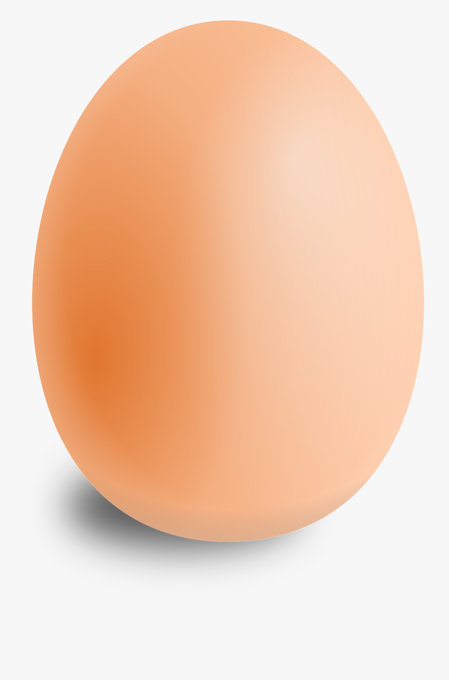 Clip Art And Facts For Kids - Things That Look Like Oval, Transparent Clipart