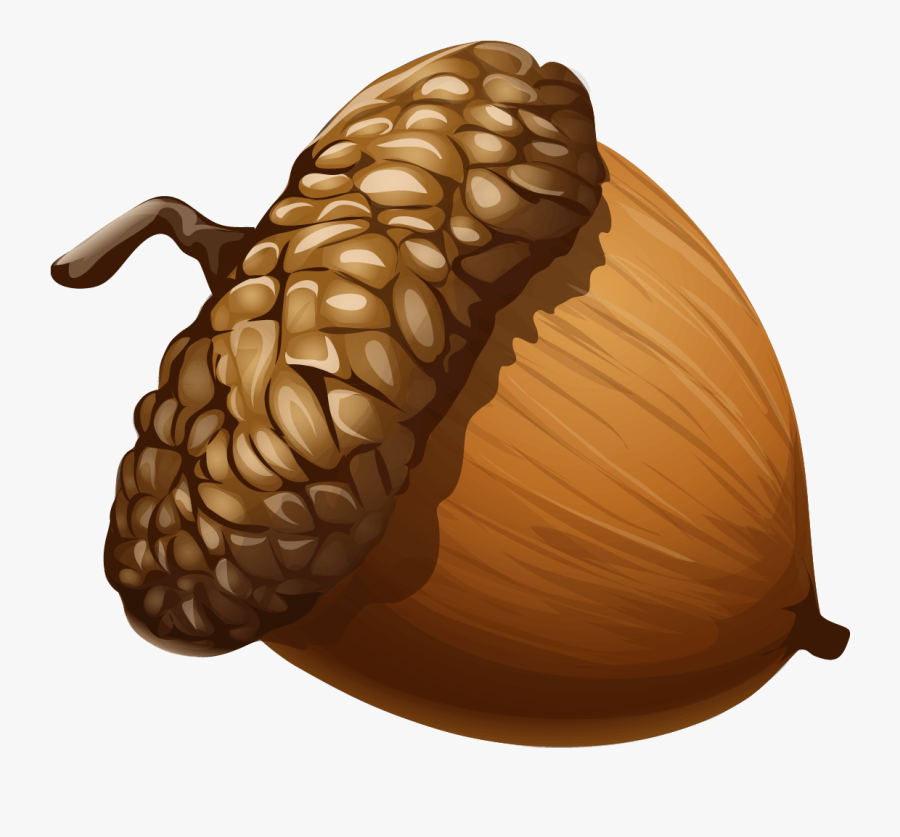 Acorns Clipart - Acorn Clipart, Transparent Clipart
