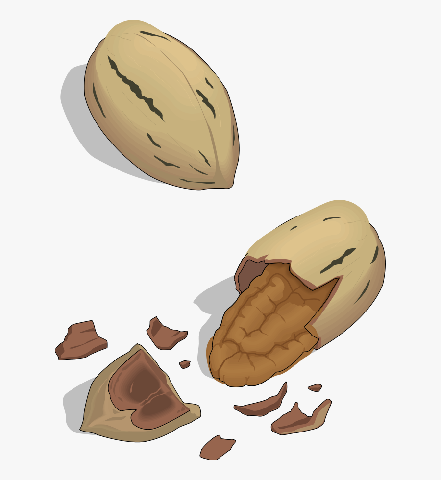 Nuts Clipart Peanut Man - Pili Nuts Clipart Png, Transparent Clipart