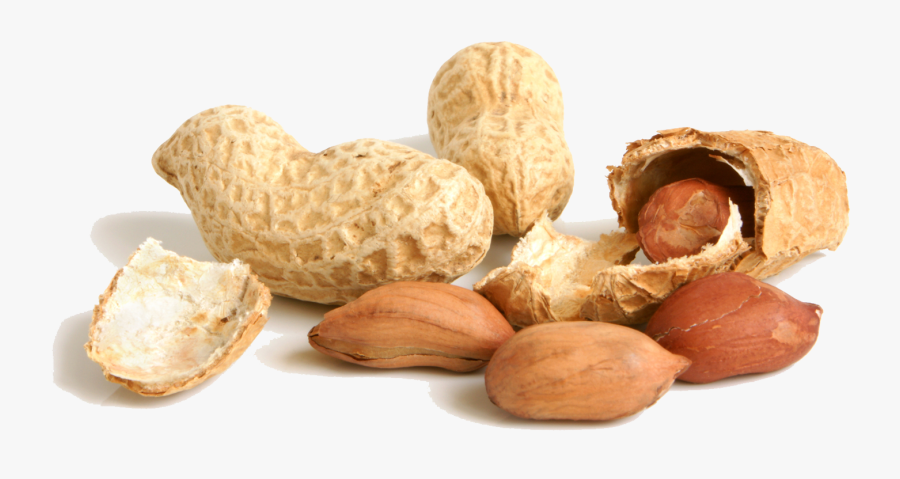 Transparent Background Peanut Png, Transparent Clipart