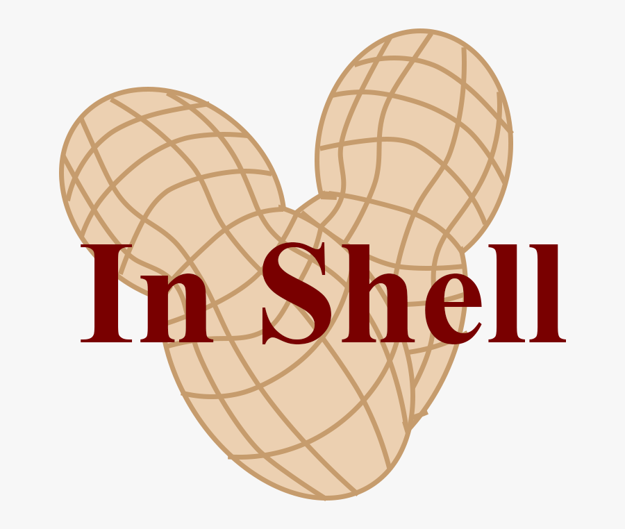 In Shell Peanut Cartoon Drawn Clipart Peanut Types - Illustration, Transparent Clipart